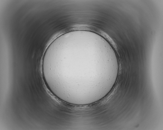 X0000112401386200908140956