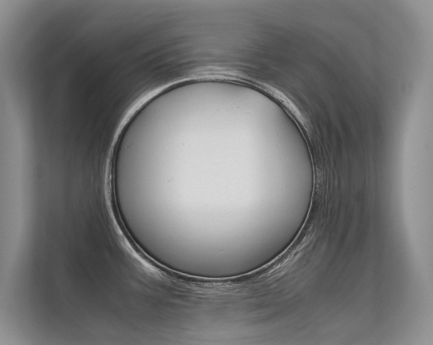 X0000112401387200908140956
