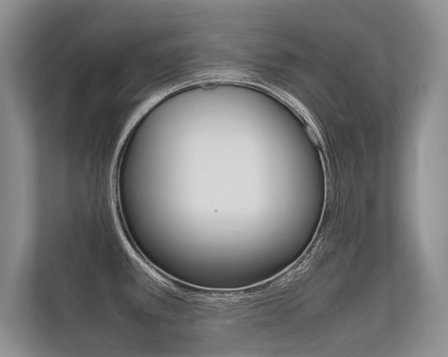 X0000112401389200908140956
