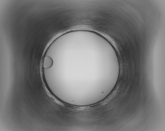 X0000112401390200908140956