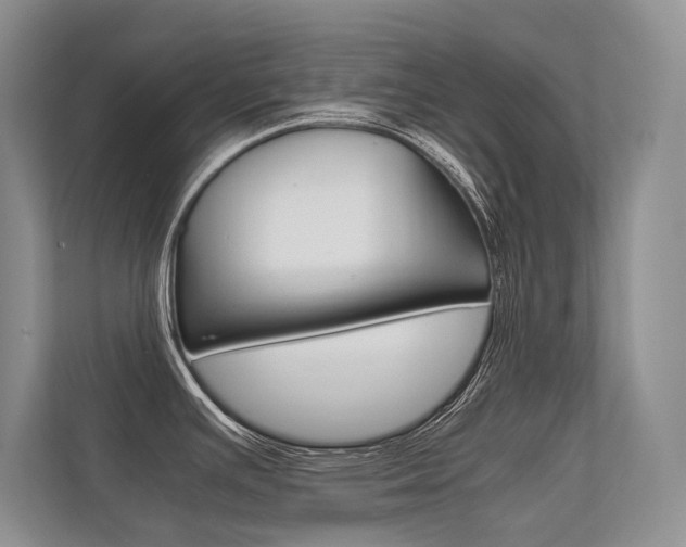X0000112401391200908140956