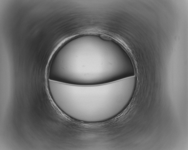 X0000112401392200908140956