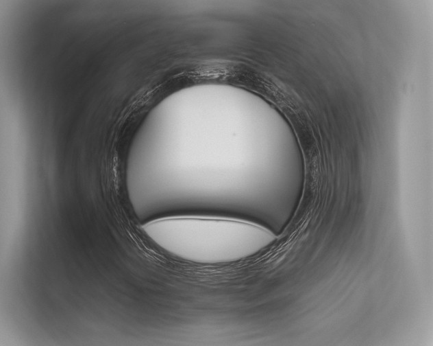 X0000112401394200908140955
