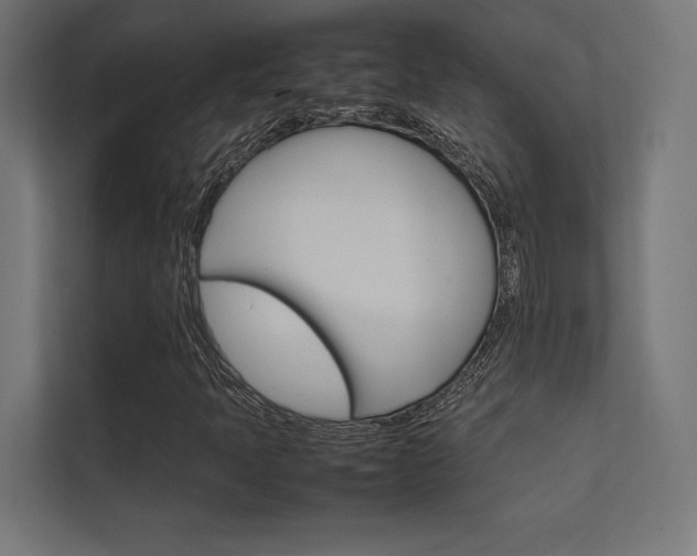 X0000112401397200908140955
