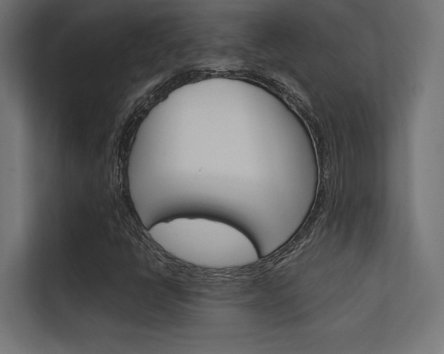 X0000112401398200908140955