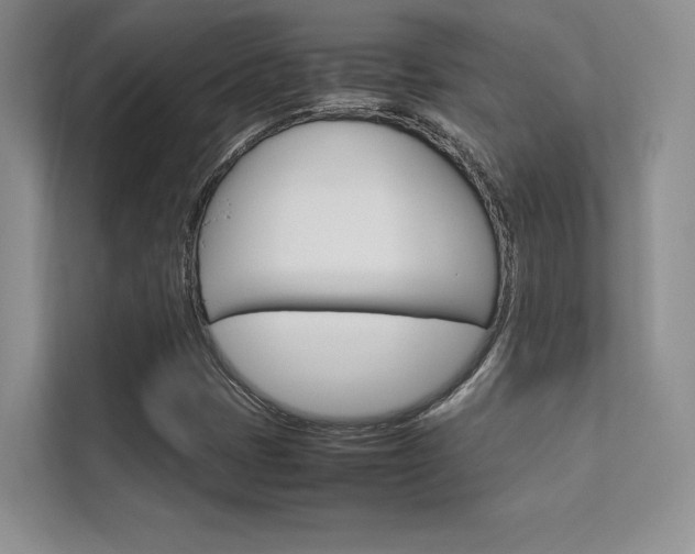 X0000112401401200908140955