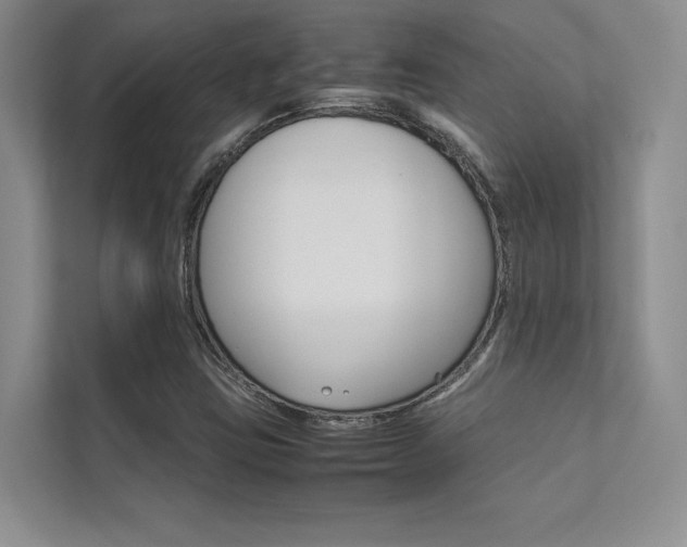 X0000112401403200908140955