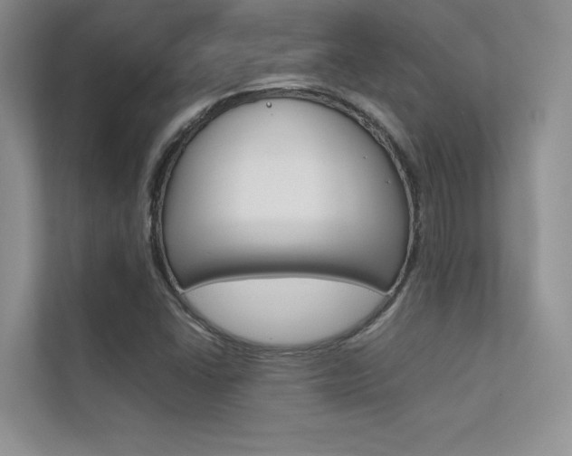 X0000112401406200908140955