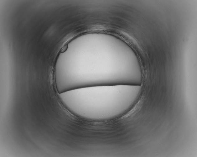 X0000112401409200908140955
