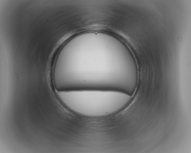 X0000112401410200908140955