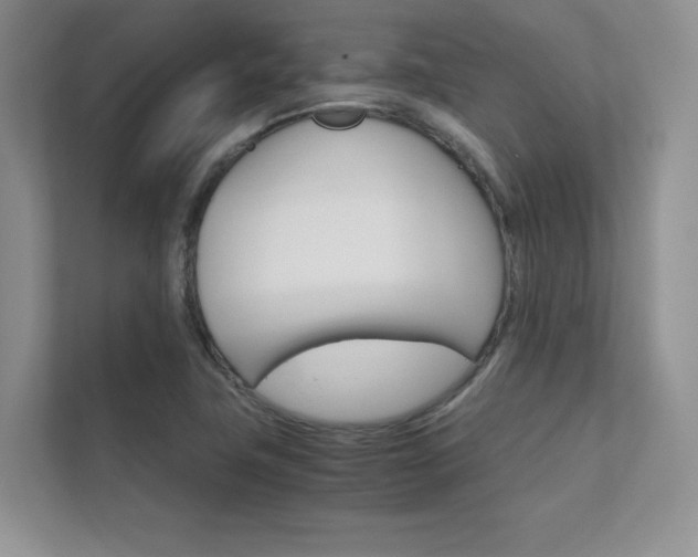 X0000112401411200908140955