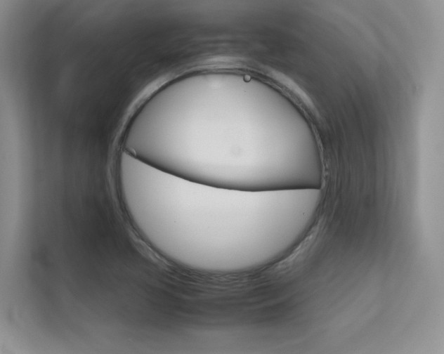 X0000112401413200908140955