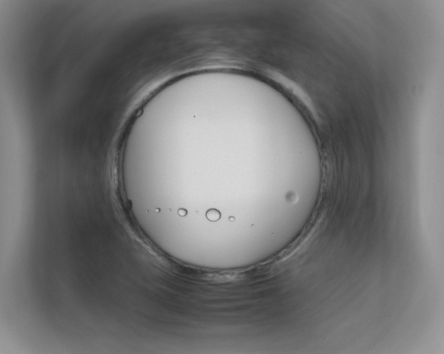 X0000112401415200908140955