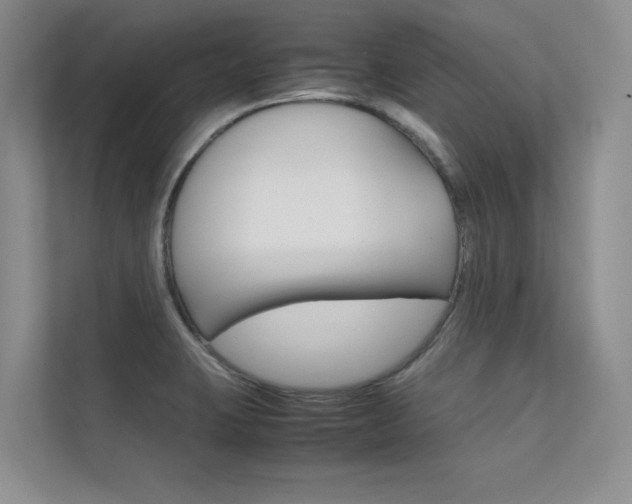 X0000112401423200908140956