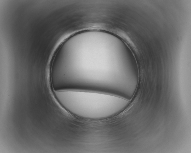 X0000112401424200908140956