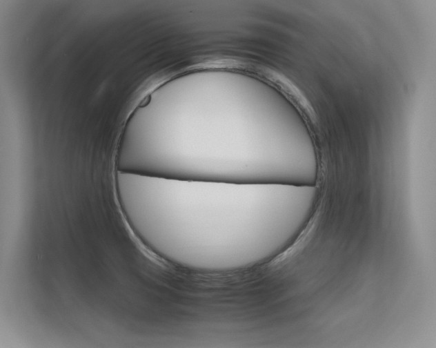 X0000112401425200908140956