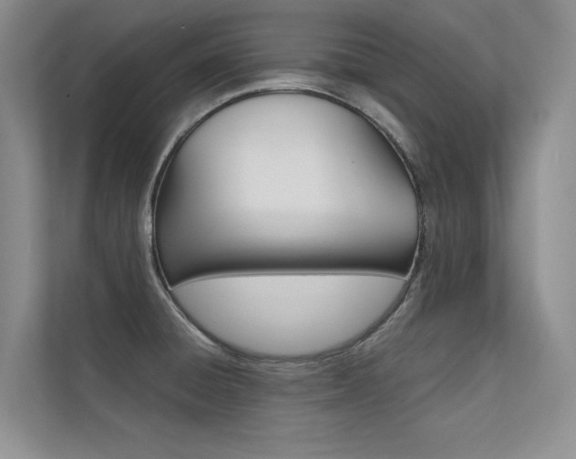 X0000112401428200908140956