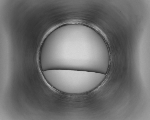 X0000112401429200908140956