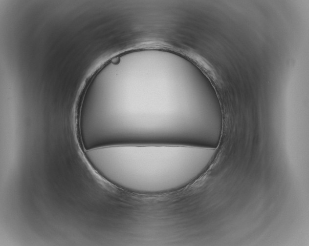 X0000112401430200908140956
