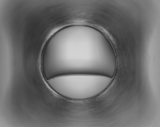 X0000112401432200908140956