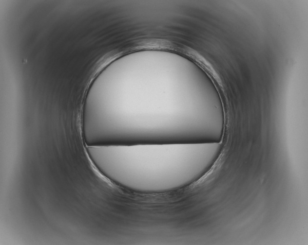 X0000112401433200908140956