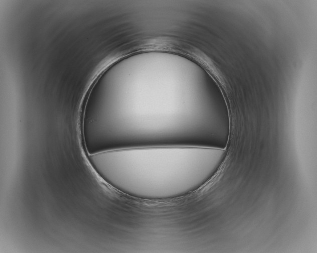 X0000112401434200908140956