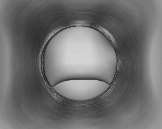 X0000112401435200908140956