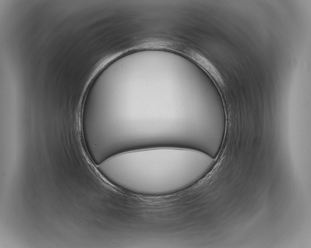 X0000112401436200908140956