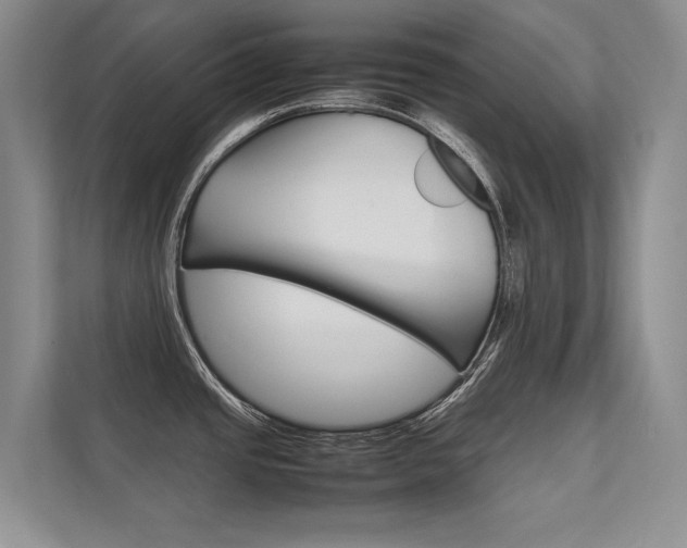 X0000112401437200908140956