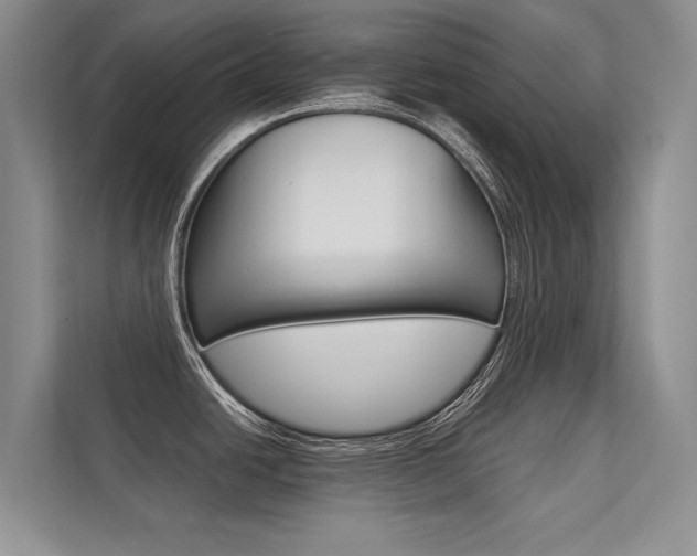 X0000112401438200908140956