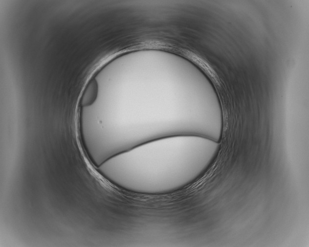 X0000112401439200908140956