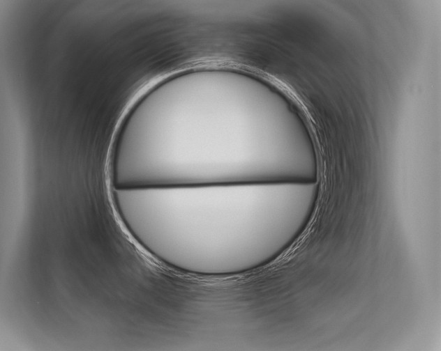 X0000112401440200908140956