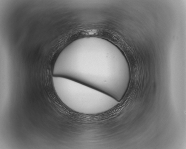 X0000112401442200908140955