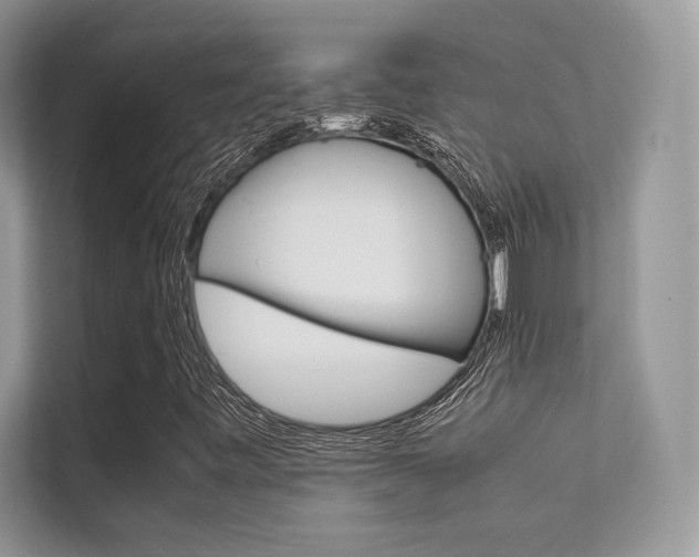 X0000112401443200908140955