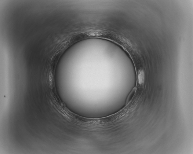 X0000112401444200908140955
