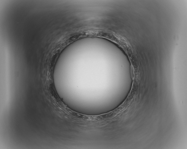 X0000112401445200908140955