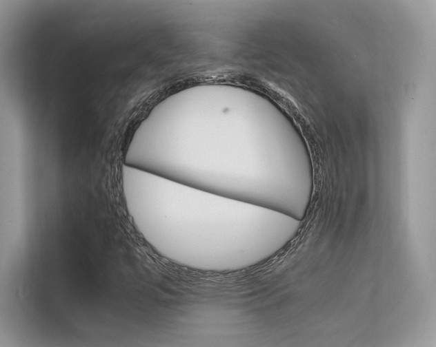 X0000112401447200908140955