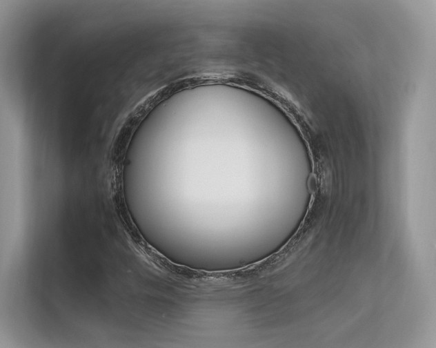 X0000112401448200908140955