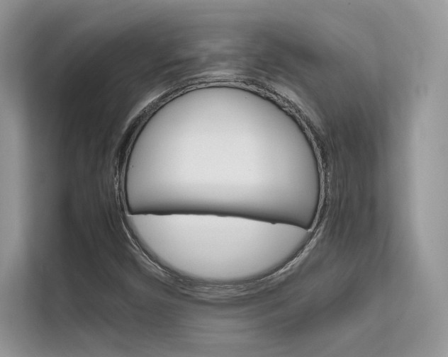 X0000112401450200908140955