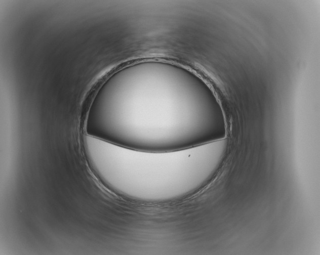 X0000112401452200908140955