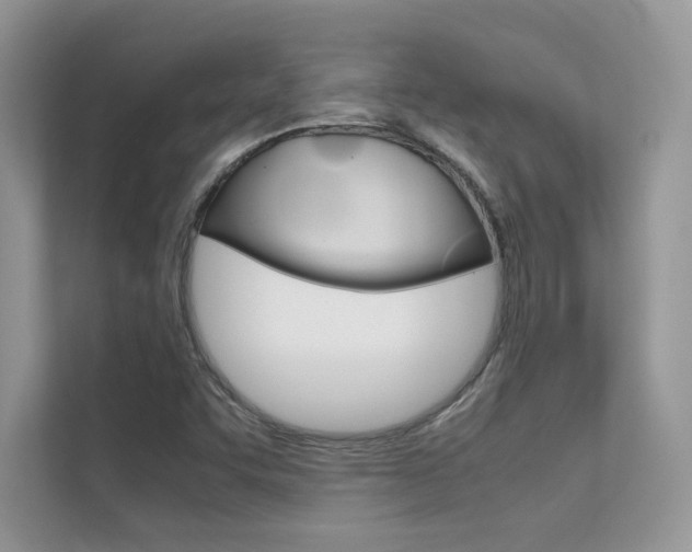 X0000112401455200908140955