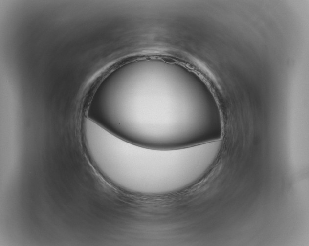 X0000112401456200908140955
