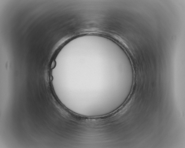 X0000112401458200908140955