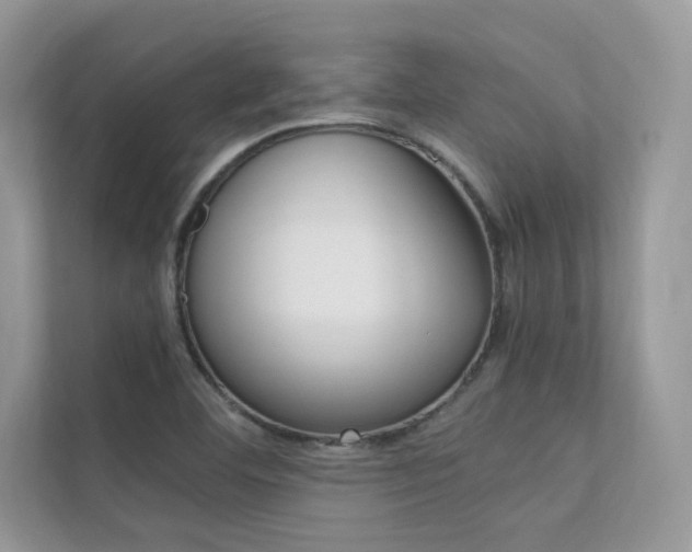 X0000112401460200908140955