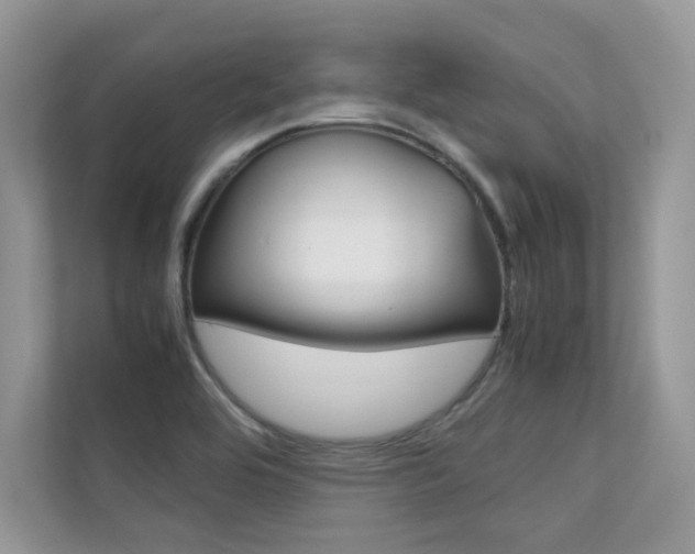 X0000112401464200908140955