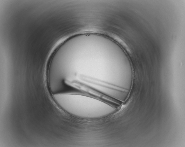 X0000112401469200908140955