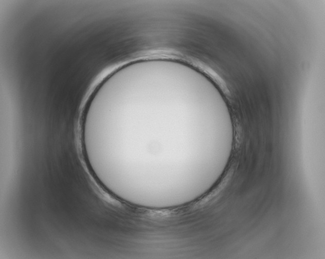 X0000112401470200908140955