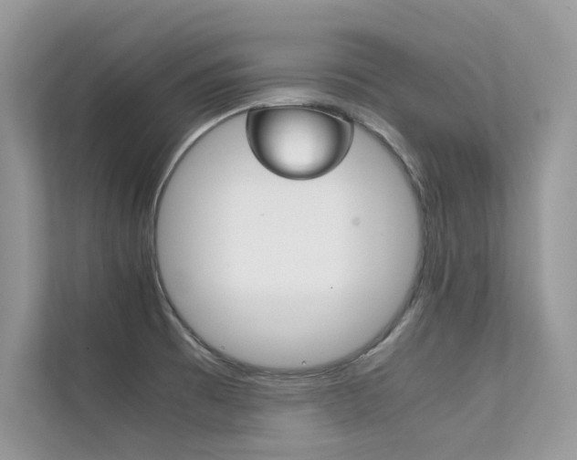 X0000112401473200908140955