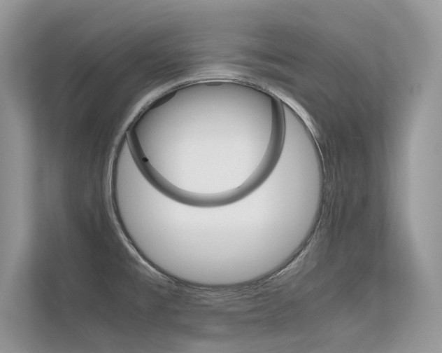 X0000112401477200908140955