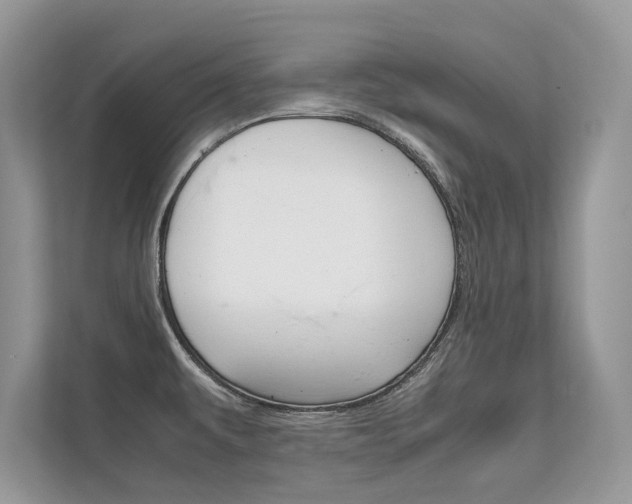 X0000112401479200908140955